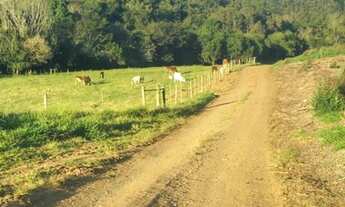 Imagem 2: Excelente Fazenda com 93 Alqueires em Capão Bonito