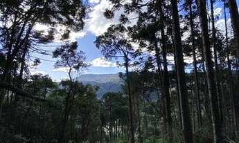 Imagem 2: Terreno Rural Urubici de 2 hectares