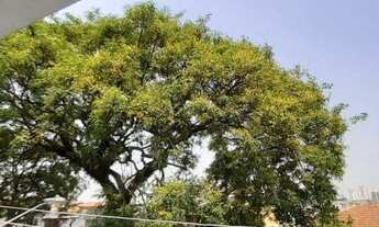 Imagem 7: SOBRADO - JARDIM AEROPORTO - SP