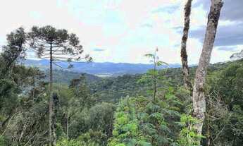 Imagem 3: Terreno de 2 hectares com cachoeira