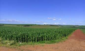 Imagem 6: Venda Fazenda / sítio com venda por R$6.000.000
