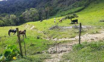 Imagem 2: Sítio em Santa Barbara do Monte Verde MG