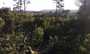 Imagem 7: VENDO CHÁCARA EM GLORINHA