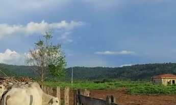 Imagem 6: 97 alqueires (90 de pasto) Paragominas-PA documentada por R$7 milhões