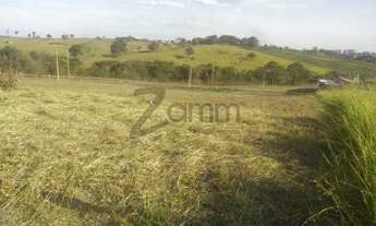 Imagem: Terreno - Parque Manoel de Vasconcelos