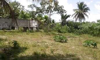 Imagem 6: Área no Valentina (Mussumago) 2.820 m2, se aceita Permuta