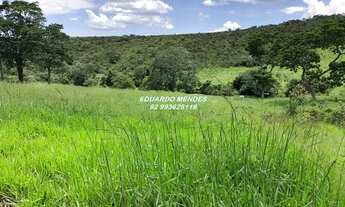 Imagem 5: Oportunidade Chácara com 21.000m², córrego, escriturada e registrada em Planalmira