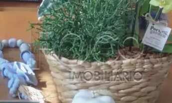 Imagem 4: Apartamento para venda, Santa Cecília, Porto Alegre - FI1578