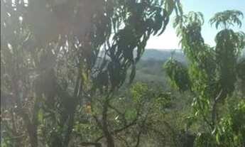 Imagem 6: VENDO OU TROCO Chácara com venda por R$300.000