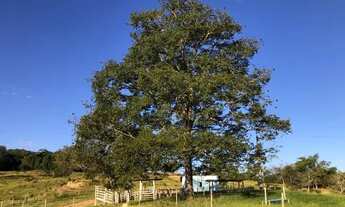 Imagem: Chácara PETROLINA DE GOIÁS