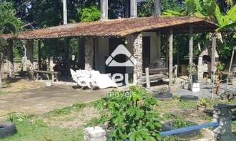 Imagem 3: EXTREMOZ - Sítio - Estrela do Mar