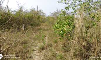 Imagem: Chácara venda, com 05 hectares, escriturada