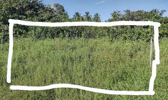 Imagem: Vendo terreno em Beberibe -ceara