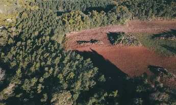 Imagem 5: Sitio - Bairro Carazal