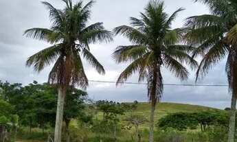 Imagem 3: Casa / Sítio em Saquarema