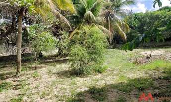 Imagem: Terreno em Pium, murado, plano, escritura