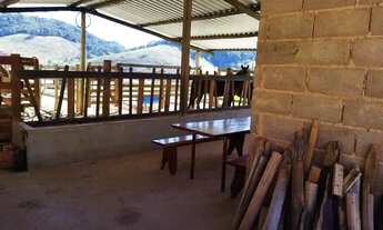 Imagem 3: SÍTIO COM 6 ALQUEIRES A 38 KM DE JUIZ DE FORA