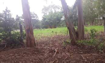 Imagem 6: Compre a sua Fazendinha 20.000m2 em Cordisbugo, Cercada com água luz ótimo preço