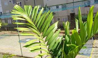 Imagem 5: Apartamento Apartamento com 2 dormitórios