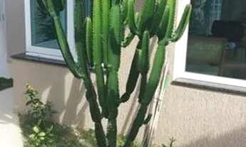 Imagem 5: CASA EM CONDOMÍNIO - ARUÃ - SP