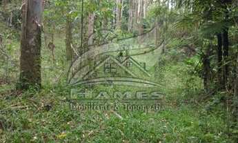 Imagem 6: Terreno Rural para Venda em São Pedro de Alcântara, ROCINHA