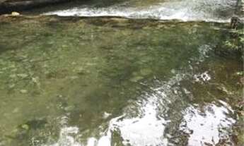 Imagem 4: Aluguel de chácara . Chapada