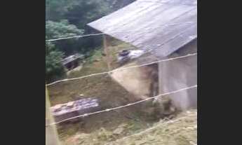 Imagem 3: Vede se sitio na fazenda do bom jesus