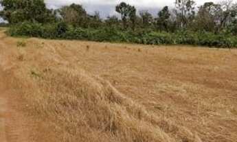 Imagem: 420 Alq. (2.032 Há). Aliança-TO (Plana