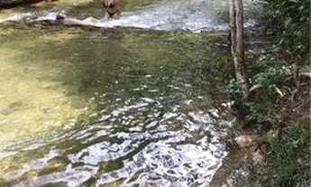 Imagem 6: Aluguel de chácara . Chapada