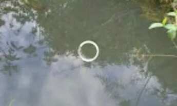 Imagem 2: VENDO OU TROCO Chácara com venda por R$300.000