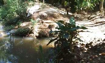 Imagem 6: Vendo Terra 4 alqueires e meio PA Rio Branco