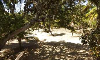 Imagem 3: Excelente área beira BR 216 marechal