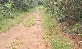 Imagem: .Uma Excelente Fazenda de 50 alqueires município