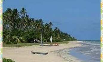 Imagem: Casa praia de sonho verde em condomínio
