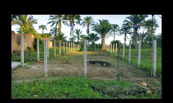 Imagem 3: Vendo Terreno localizado na ilha de Itaparica