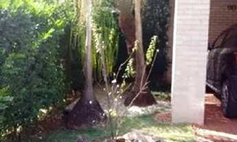 Imagem 4: Ribeirao Preto - Casa de Condomínio - Jardim Botanico