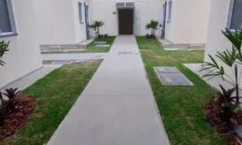 Imagem 2: Alugo ótimo apto térreo de 2 quartos no bairro São Pedro