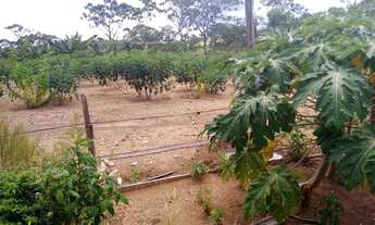 Imagem 6: Chácara 30 mil m² DF. 03 Hectares