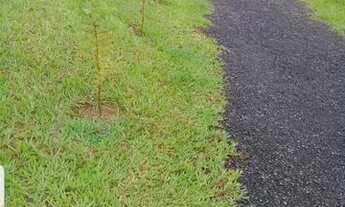 Imagem 4: Chácara para Venda em Presidente Prudente, CHACARA MONTALVÃO, 2 dormitórios, 1 banheiro, 1