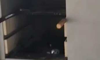 Imagem 3: Vende-se chácara