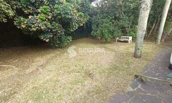 Imagem 4: Casa Comercial - São Lucas / Viamão