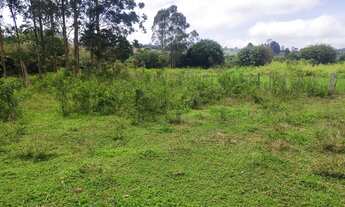 Imagem 2: Terreno de 5mil metros com casa