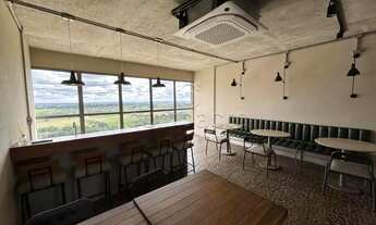 Imagem 7: Apartamento Padrão em São José do Rio Preto