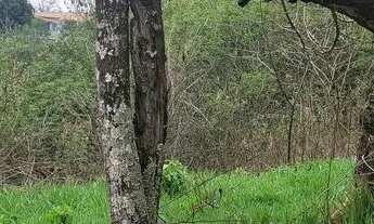 Imagem 7: Terreno 4mil m2 em Meio à Natureza - Seu Refúgio te Espera!