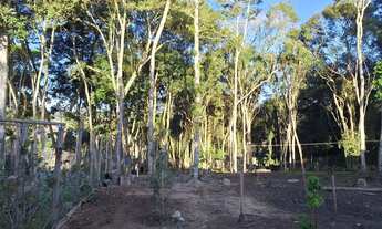 Imagem: Chacara 1540 metros ! Todo murado