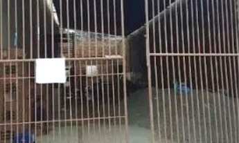 Imagem 2: GALPÃO NA RUA ESTÂNCIA, CENTRO, 9X35 M² PARA VENDA