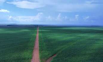 Imagem: Fazenda 5.700 alq em deciolandia x Diamantino