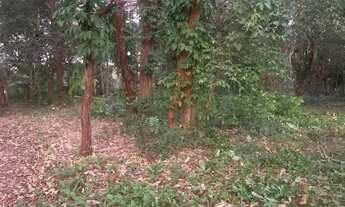 Imagem 6: Terreno à venda Chapada dos Guimarães - MT, 6.000 m² em Aldeia Velha