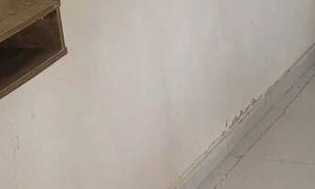 Imagem 5: Casa em tamanderé muito boa