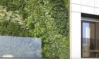 Imagem 3: Cobertura em Menino Deus